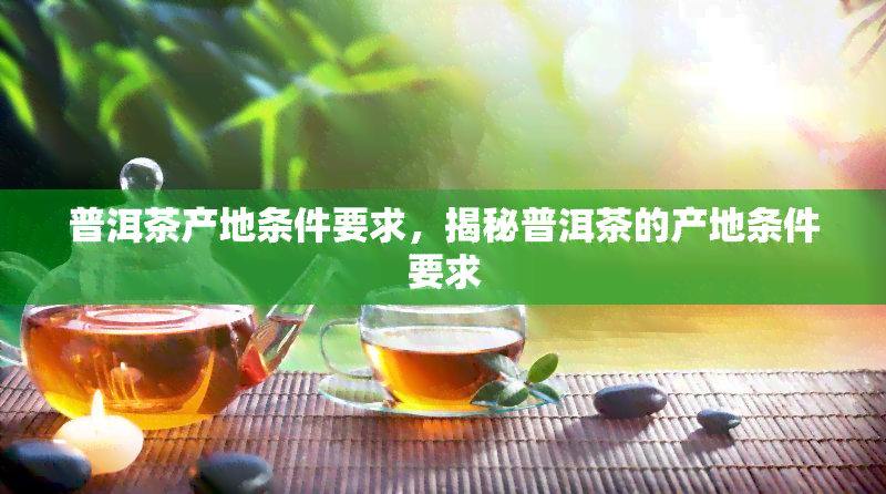 普洱茶产地条件要求，揭秘普洱茶的产地条件要求