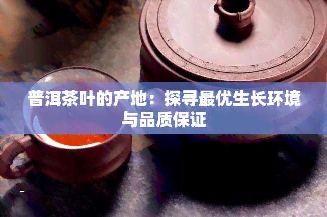 普洱茶叶的产地：探寻更优生长环境与品质保证