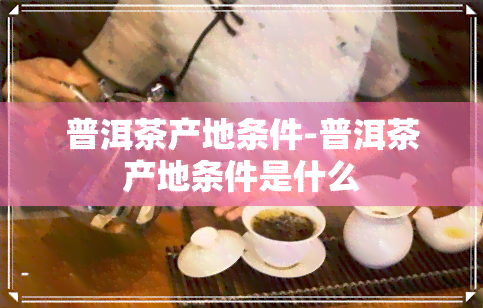 普洱茶产地条件-普洱茶产地条件是什么