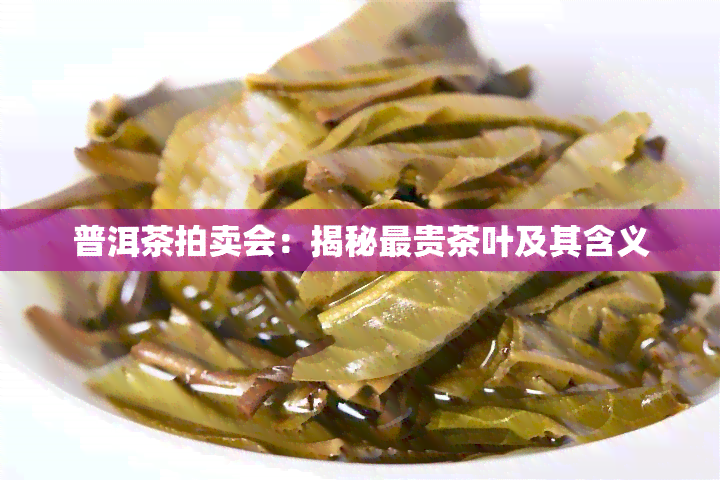 普洱茶拍卖会：揭秘最贵茶叶及其含义