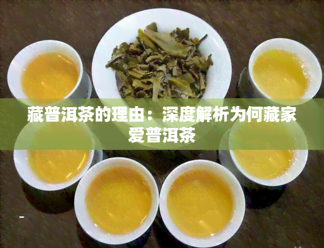 藏普洱茶的理由：深度解析为何藏家爱普洱茶