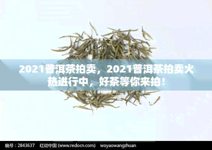 2021普洱茶拍卖，2021普洱茶拍卖火热进行中，好茶等你来拍！