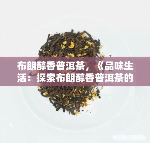 布朗醇香普洱茶，《品味生活：探索布朗醇香普洱茶的魅力》