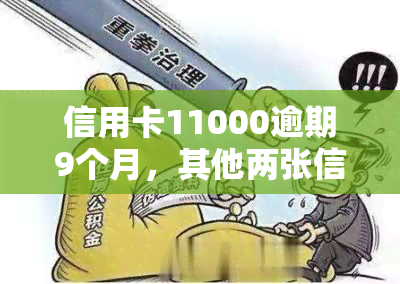 信用卡11000逾期9个月，其他两张信用卡也逾期，总共欠款近3万元，已逾期一年半仍未还款。