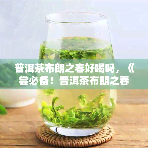 普洱茶布朗之春好喝吗，《尝必备！普洱茶布朗之春口感如何？》