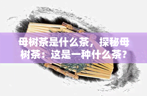 母树茶是什么茶，探秘母树茶：这是一种什么茶？