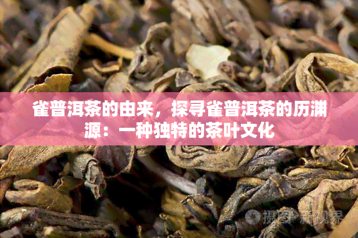 雀普洱茶的由来，探寻雀普洱茶的历渊源：一种独特的茶叶文化