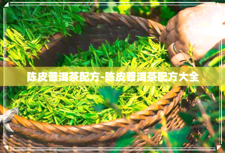 陈皮普洱茶配方-陈皮普洱茶配方大全