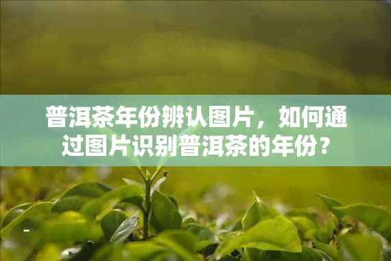 普洱茶年份辨认图片，如何通过图片识别普洱茶的年份？