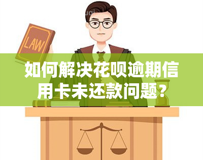 如何解决花呗逾期信用卡未还款问题？