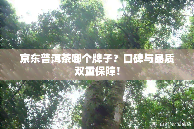 京东普洱茶哪个牌子？口碑与品质双重保障！