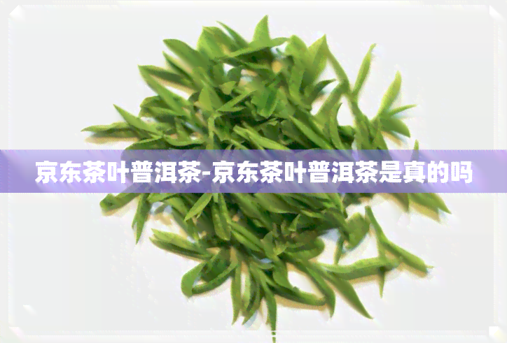 京东茶叶普洱茶-京东茶叶普洱茶是真的吗