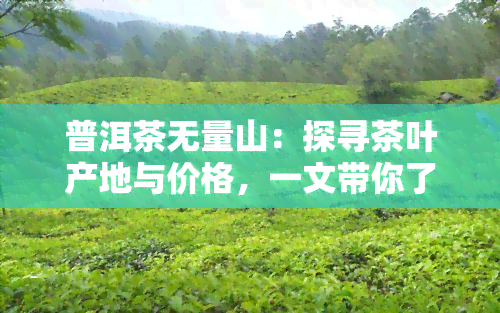 普洱茶无量山：探寻茶叶产地与价格，一文带你了解所有山头信息