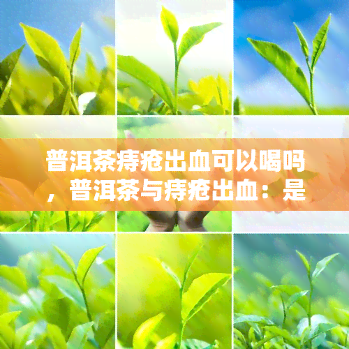 普洱茶痔疮出血可以喝吗，普洱茶与痔疮出血：是否适合饮用？