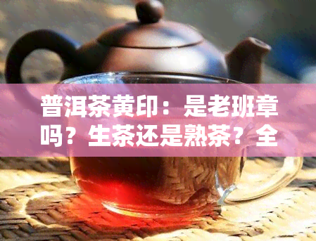 普洱茶黄印：是老班章吗？生茶还是熟茶？全解析