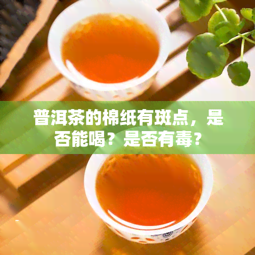 普洱茶的棉纸有斑点，是否能喝？是否有？