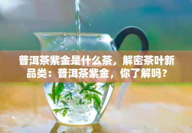 普洱茶紫金是什么茶，解密茶叶新品类：普洱茶紫金，你了解吗？