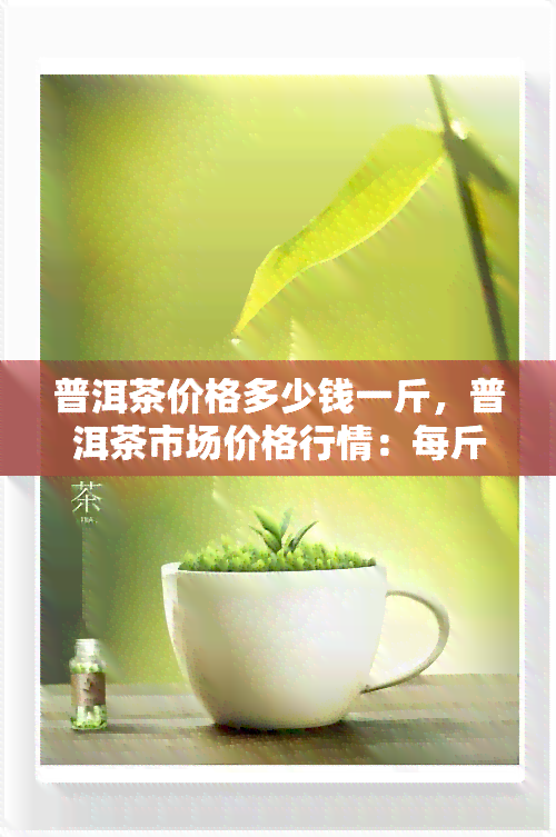 普洱茶價格多少錢一斤普洱茶市場價格行情每斤多少錢