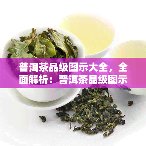 普洱茶品级图示大全，全面解析：普洱茶品级图示大全，让你轻松了解不同级别茶叶的特点与区别！