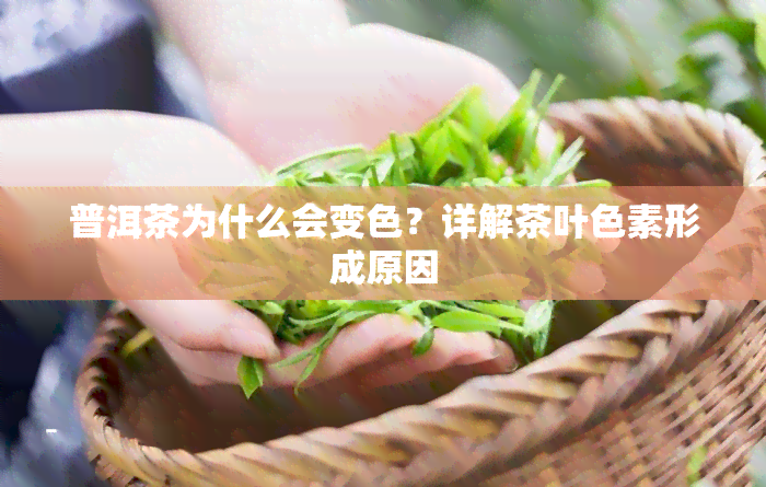 普洱茶为什么会变色？详解茶叶色素形成原因