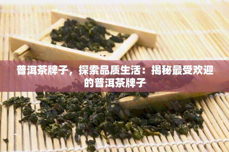 普洱茶牌子，探索品质生活：揭秘更受欢迎的普洱茶牌子