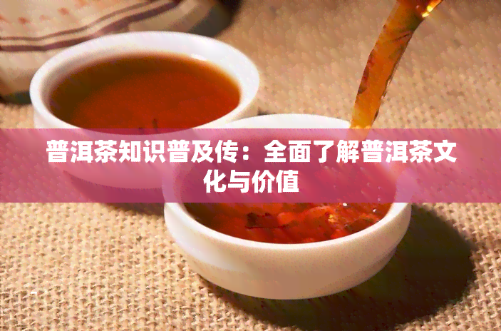 普洱茶知识普及传：全面了解普洱茶文化与价值