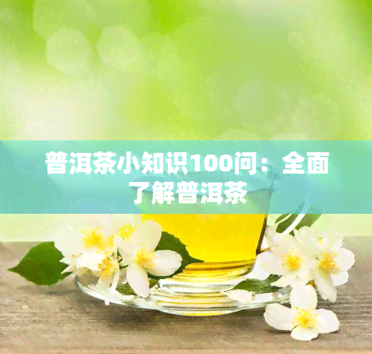 普洱茶小知识100问：全面了解普洱茶