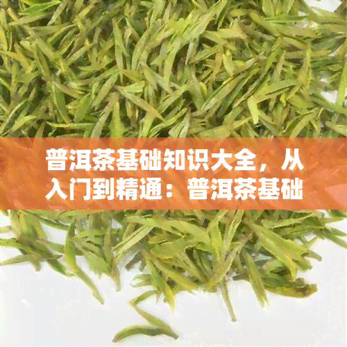 普洱茶基础知识大全，从入门到精通：普洱茶基础知识大全