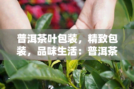 普洱茶叶包装，精致包装，品味生活：普洱茶叶的优雅之选