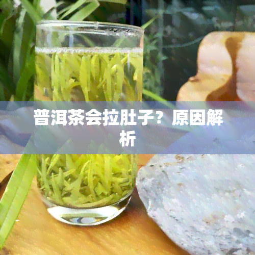 普洱茶会拉肚子？原因解析