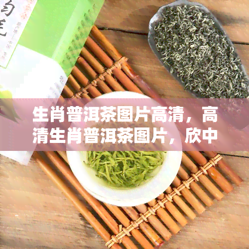 生肖普洱茶图片高清，高清生肖普洱茶图片，欣中国传统茶文化的魅力！