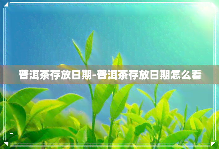 普洱茶存放日期-普洱茶存放日期怎么看