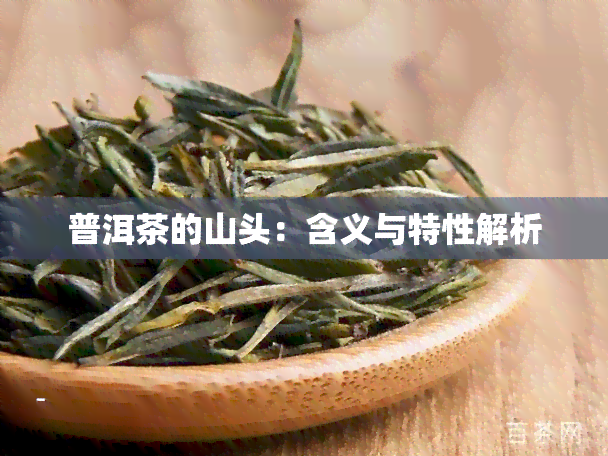 普洱茶的山头：含义与特性解析