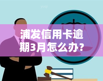 浦发信用卡逾期3月怎么办？解决办法全解析