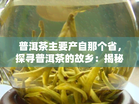 普洱茶主要产自那个省，探寻普洱茶的故乡：揭秘其主要产地省份