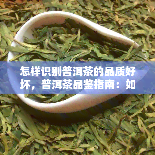 怎样识别普洱茶的品质好坏，普洱茶品鉴指南：如何识别茶叶的优劣？