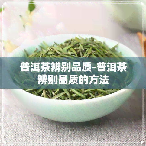 普洱茶辨别品质-普洱茶辨别品质的方法