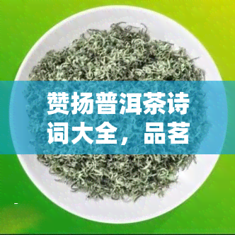 赞扬普洱茶诗词大全，品茗人生：普洱茶诗词大全欣