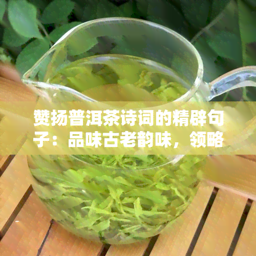 赞扬普洱茶诗词的精辟句子：品味古老韵味，领略茶香人生