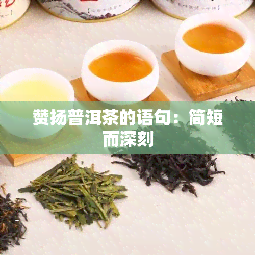 赞扬普洱茶的语句：简短而深刻