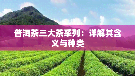 普洱茶三大茶系列：详解其含义与种类