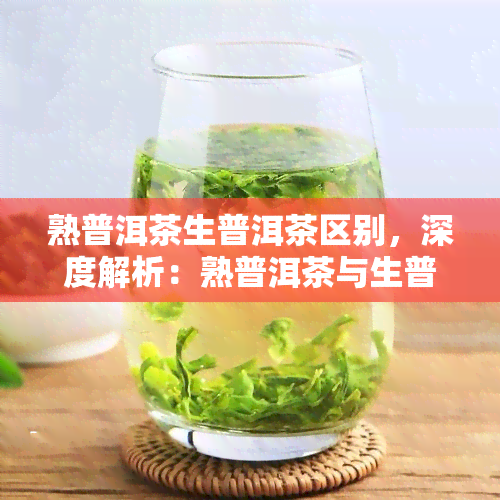 熟普洱茶生普洱茶区别，深度解析：熟普洱茶与生普洱茶的区别