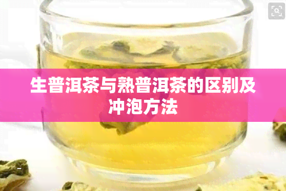 生普洱茶与熟普洱茶的区别及冲泡方法