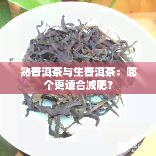 熟普洱茶与生普洱茶：哪个更适合减肥？