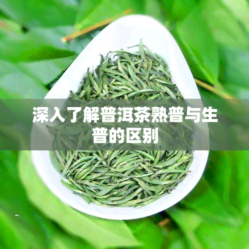 深入了解普洱茶熟普与生普的区别