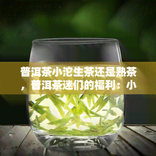 普洱茶小沱生茶还是熟茶，普洱茶迷们的福利：小沱生茶与熟茶的区别解析