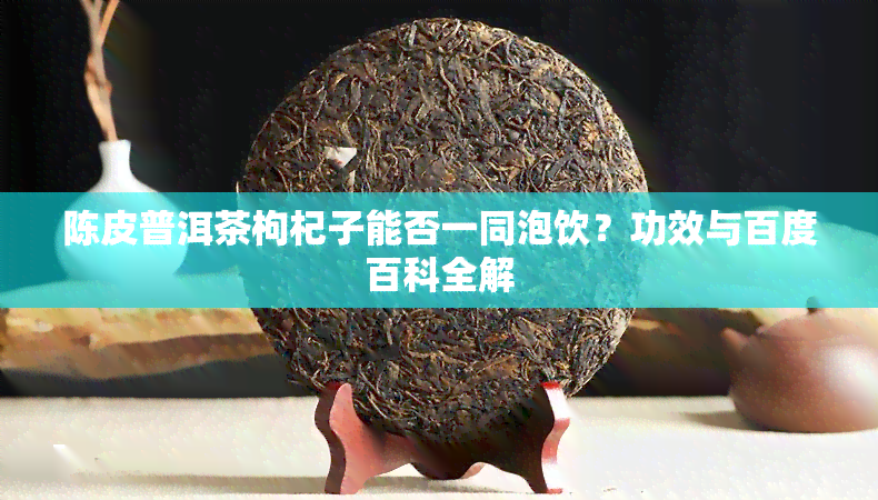 陈皮普洱茶枸杞子能否一同泡饮？功效与百度百科全解