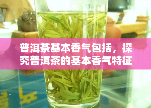 普洱茶基本香气包括，探究普洱茶的基本香气特征