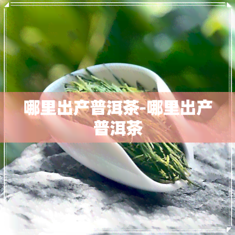 哪里出产普洱茶-哪里出产普洱茶