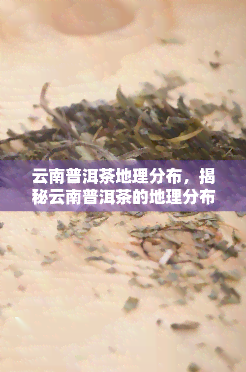 云南普洱茶地理分布，揭秘云南普洱茶的地理分布，品味不一样的茶香世界